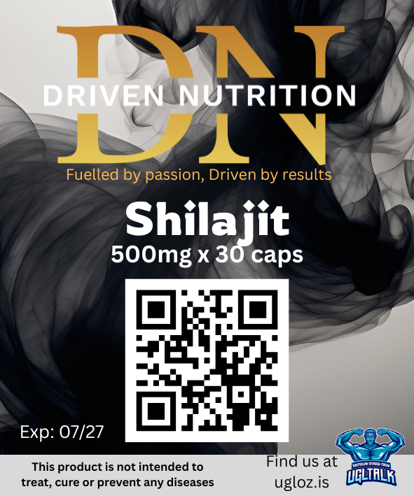 Shilajit 500mg
